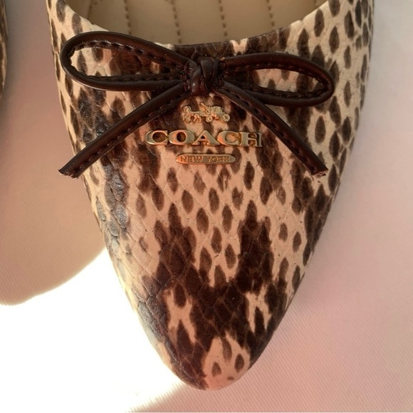 Coach Annabel Snakeskin Pointed Toe Ballet Flats - Picture 9 of 16